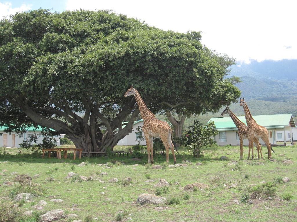 Nature Homes - Africa Amini Life Nkoanrua Eksteriør bilde