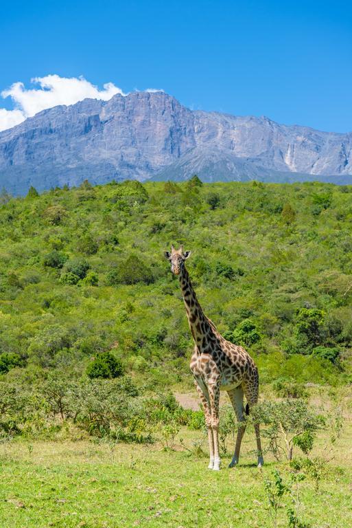 Nature Homes - Africa Amini Life Nkoanrua Eksteriør bilde